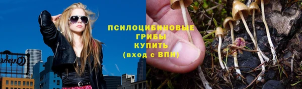 a pvp Аркадак