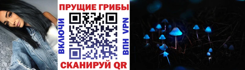 Галлюциногенные грибы Cubensis  darknet формула  Калачинск 